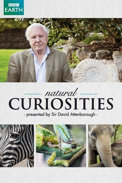 Watch Free David Attenborough's Natural Curiosities Movies Full HD Online