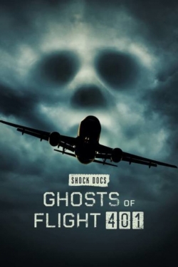 Watch Free Ghosts of Flight 401 Movies Full HD Online