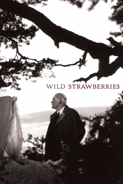 Watch Free Wild Strawberries Movies Full HD Online