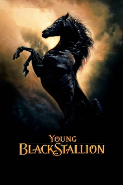 Watch Free Young Black Stallion Movies Full HD Online