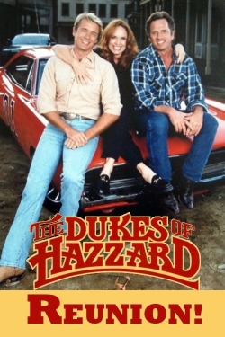 Watch Free The Dukes of Hazzard: Reunion! Movies Full HD Online