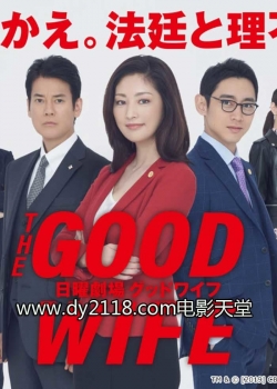 Watch Free The Good Wife Movies Full HD Online