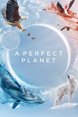 Watch Free A Perfect Planet Movies Full HD Online