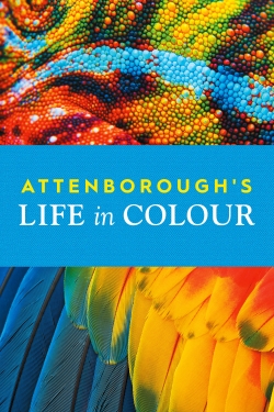 Watch Free Attenborough's Life in Colour Movies Full HD Online