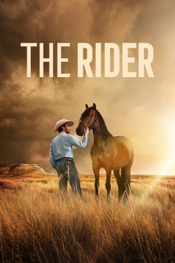 Watch Free The Rider Movies Full HD Online