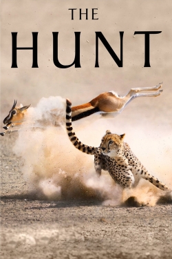 Watch Free The Hunt Movies Full HD Online