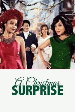 Watch Free A Christmas Surprise Movies Full HD Online