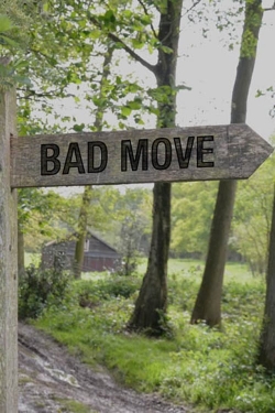 Watch Free Bad Move Movies Full HD Online