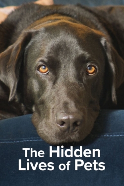 Watch Free The Hidden Lives of Pets Movies Full HD Online