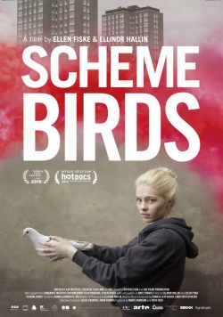 Watch Free Scheme Birds Movies Full HD Online