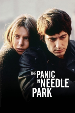 Watch Free The Panic in Needle Park Movies Full HD Online