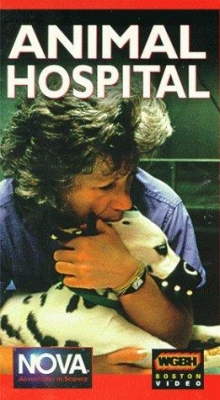 Watch Free Animal Hospital Movies Full HD Online