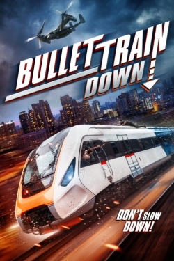 Watch Free Bullet Train Down Movies Full HD Online