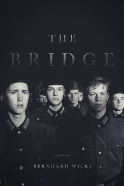 Watch Free The Bridge Movies Full HD Online