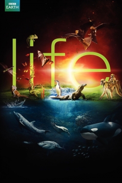 Watch Free Life Movies Full HD Online