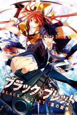 Watch Free Black Bullet Movies Full HD Online