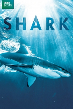 Watch Free Shark Movies Full HD Online