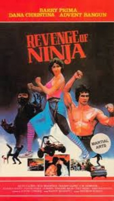 Watch Free Revenge of the Ninja Movies Full HD Online