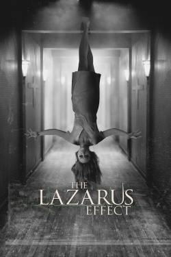 Watch Free The Lazarus Effect Movies Full HD Online