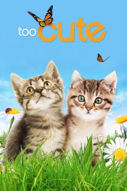 Watch Free Too Cute Movies Full HD Online