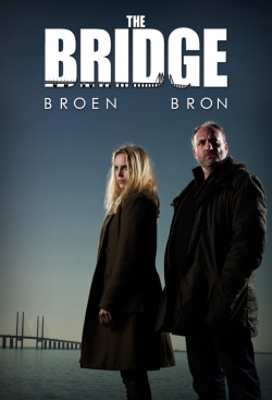 Watch Free The Bridge Movies Full HD Online