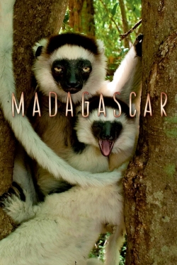 Watch Free Madagascar Movies Full HD Online