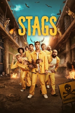 Watch Free Stags Movies Full HD Online