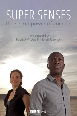 Watch Free Super Senses: The Secret Power of Animals Movies Full HD Online