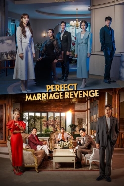 Watch Free Perfect Marriage Revenge Movies Full HD Online