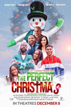 Watch Free The Perfect Christmas Movies Full HD Online