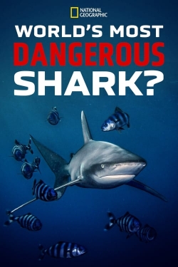 Watch Free World's Most Dangerous Shark? Movies Full HD Online