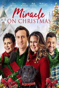 Watch Free Miracle on Christmas Movies Full HD Online