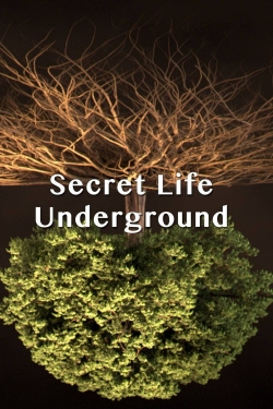 Watch Free Secret Life Underground Movies Full HD Online