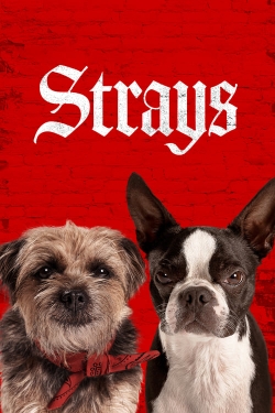 Watch Free Strays Movies Full HD Online