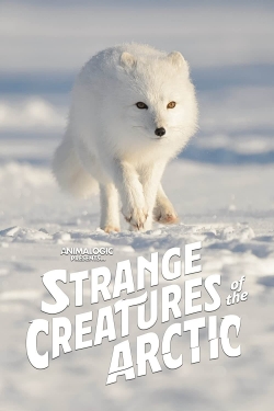 Watch Free Strange Creatures of the Arctic Movies Full HD Online