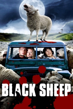 Watch Free Black Sheep Movies Full HD Online