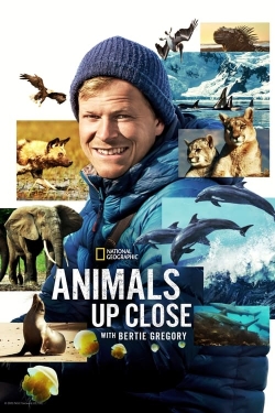 Watch Free Animals Up Close with Bertie Gregory Movies Full HD Online