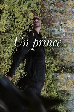 Watch Free A Prince Movies Full HD Online