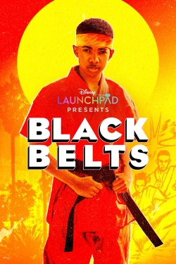 Watch Free Black Belts Movies Full HD Online