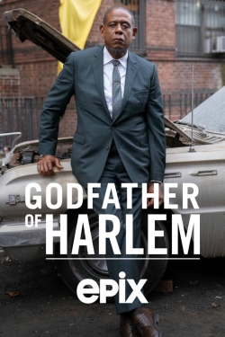 Watch Free Godfather of Harlem Movies Full HD Online