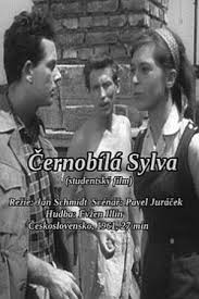 Watch Free Black and White Sylva Movies Full HD Online