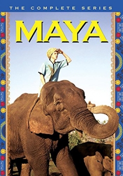 Watch Free Maya Movies Full HD Online