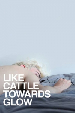 Watch Free Like Cattle Towards Glow Movies Full HD Online