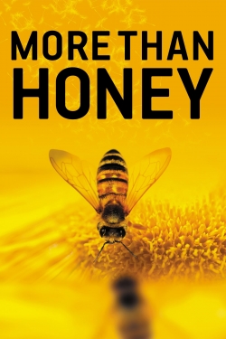 Watch Free More Than Honey Movies Full HD Online