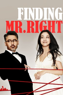 Watch Free Finding Mr. Right Movies Full HD Online