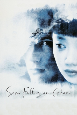 Watch Free Snow Falling on Cedars Movies Full HD Online