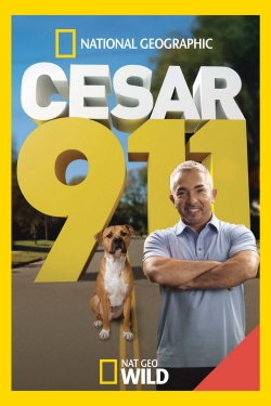 Watch Free Cesar 911 Movies Full HD Online