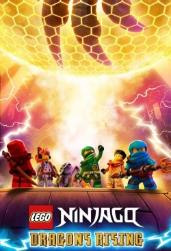 Watch Free LEGO Ninjago: Dragons Rising Movies Full HD Online