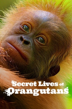 Watch Free Secret Lives of Orangutans Movies Full HD Online