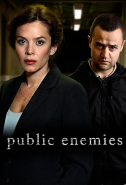 Watch Free Public Enemies Movies Full HD Online